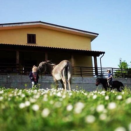 Il Rifugio Del Contadino Art & Nature Bosco  Εξωτερικό φωτογραφία