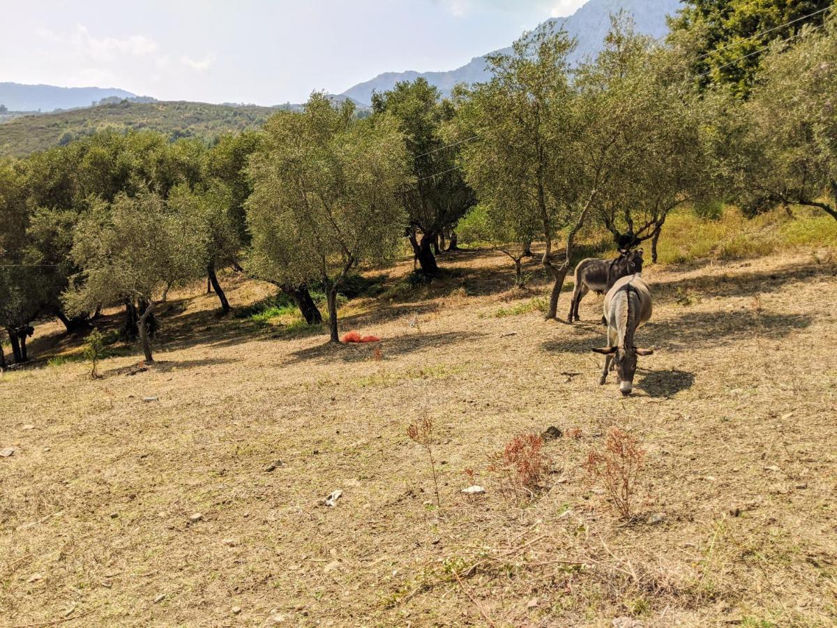 Il Rifugio Del Contadino Art & Nature Bosco  Εξωτερικό φωτογραφία