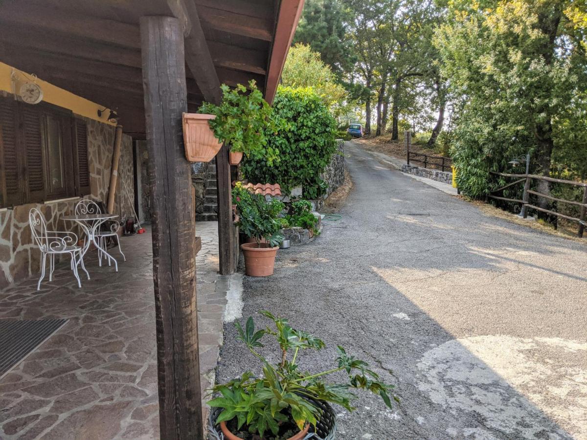 Il Rifugio Del Contadino Art & Nature Bosco  Εξωτερικό φωτογραφία