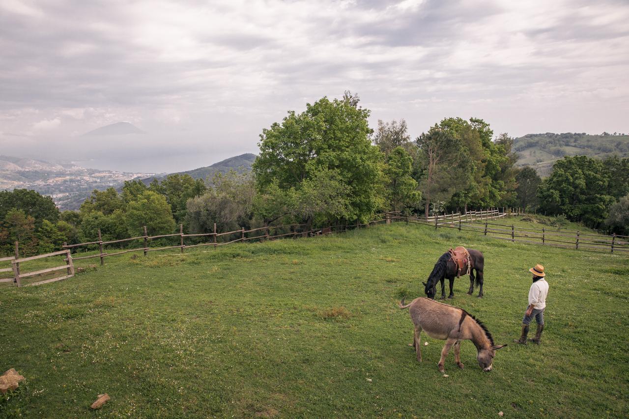 Il Rifugio Del Contadino Art & Nature Bosco  Εξωτερικό φωτογραφία