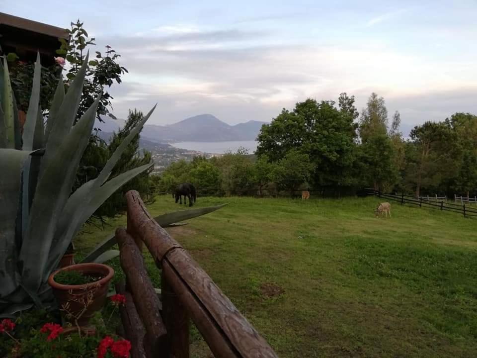 Il Rifugio Del Contadino Art & Nature Bosco  Εξωτερικό φωτογραφία